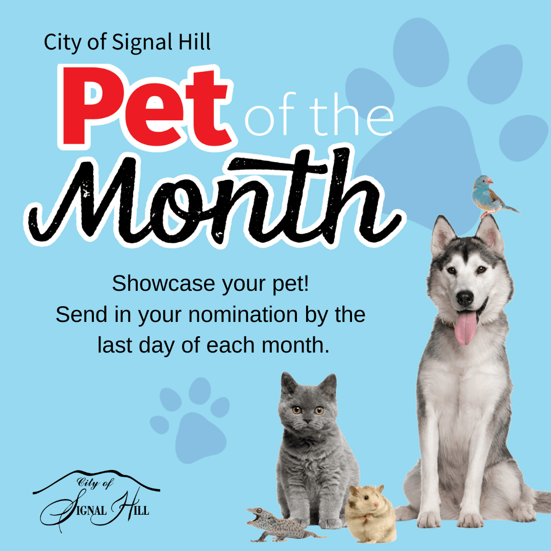 Pet of the Month FB-IN Post