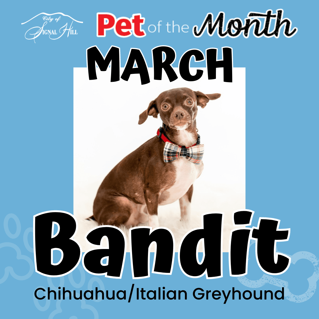 March  2022 Pet of the Month