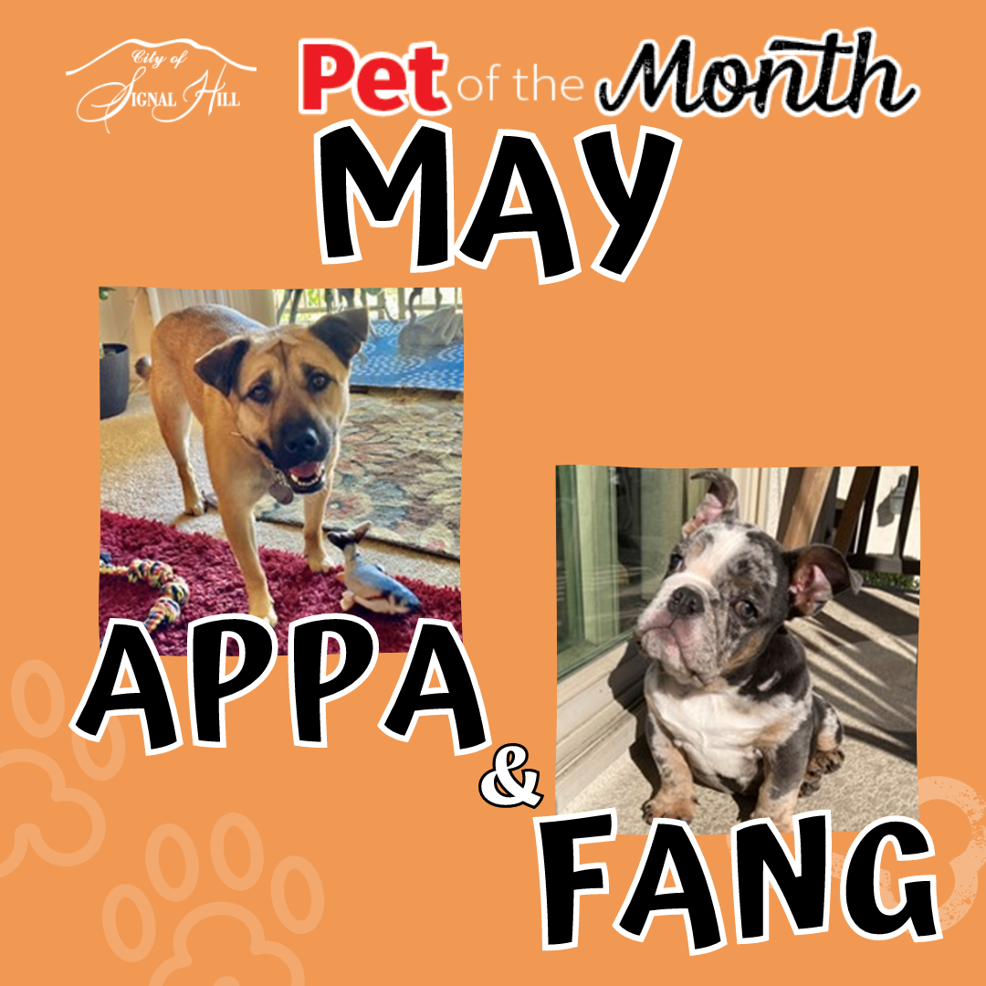 May 2022 Pet of the Month