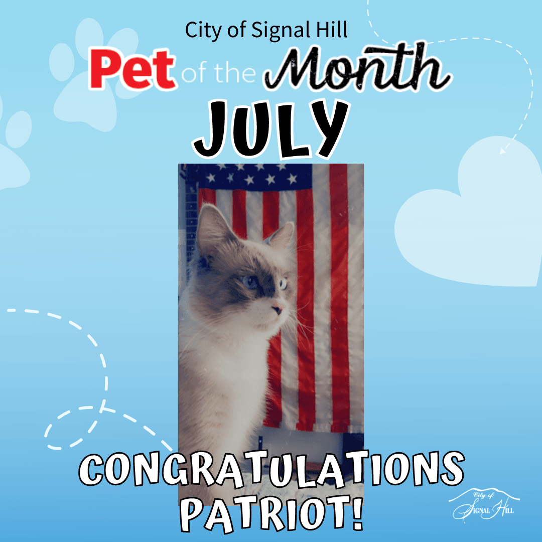 Patriot-Pet of the Month
