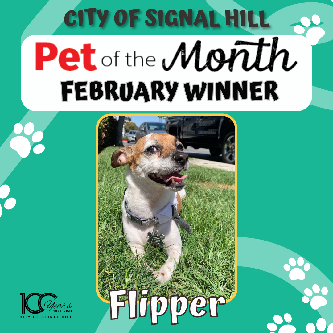 Pet of the Month - February