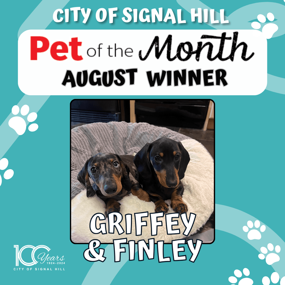 Pet of the Month - August