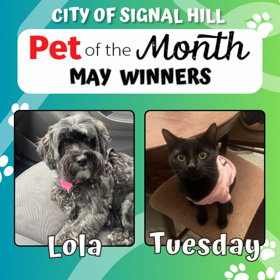 Pet of the Month - May 2025