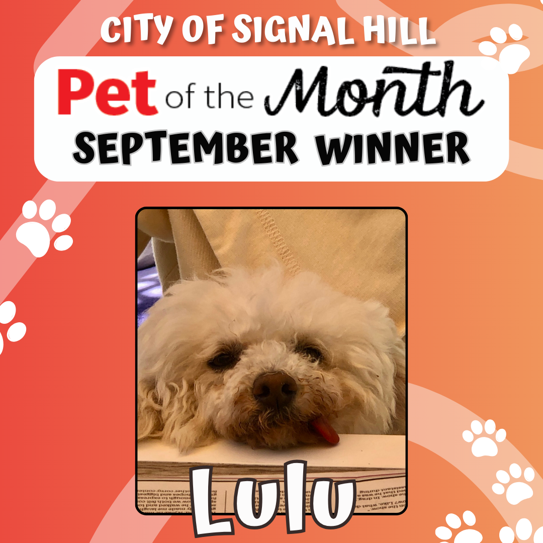Pet of the Month - September 2025
