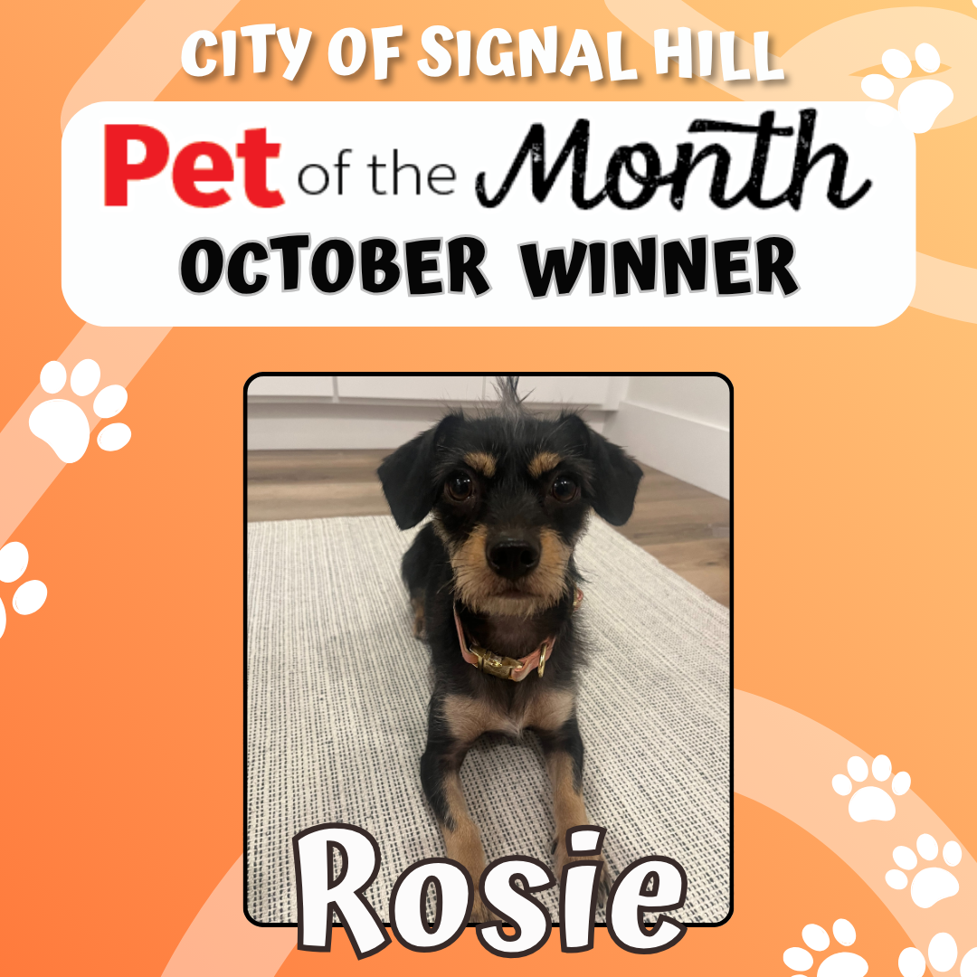 Pet of the Month - October 2025