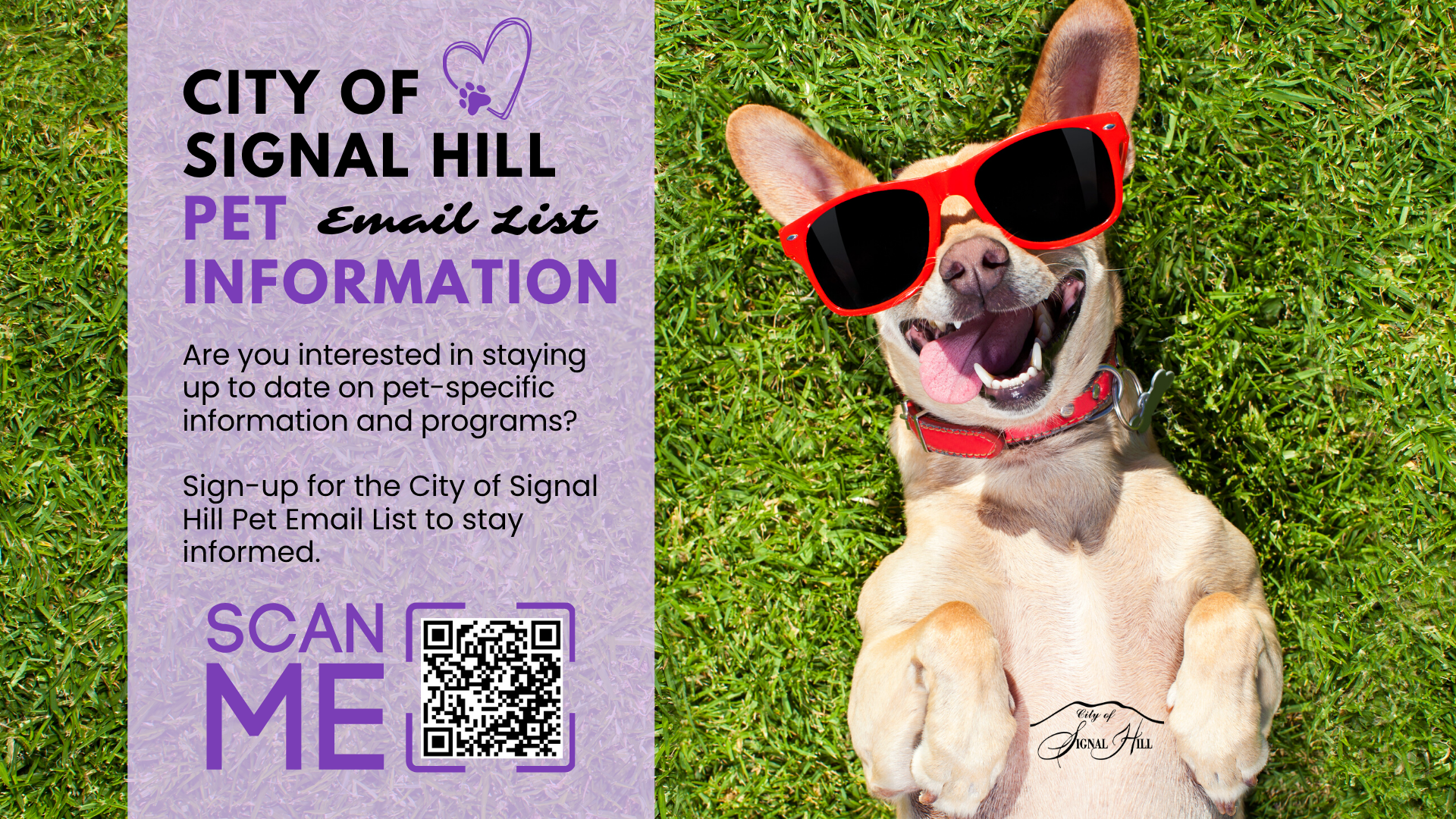 33 - Pet Info Email List