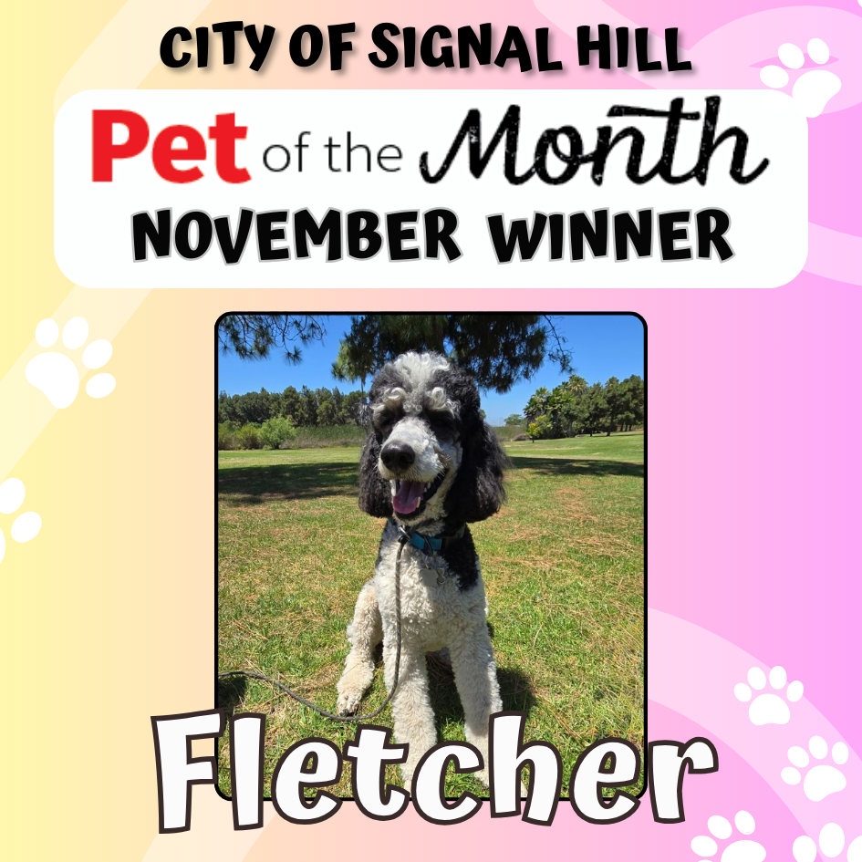 Pet of the Month - Nov 2025