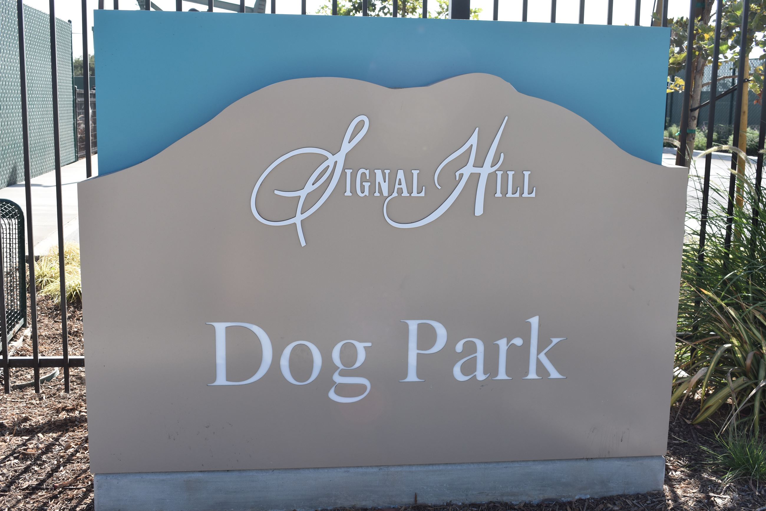 Dog Park  (45) (1)