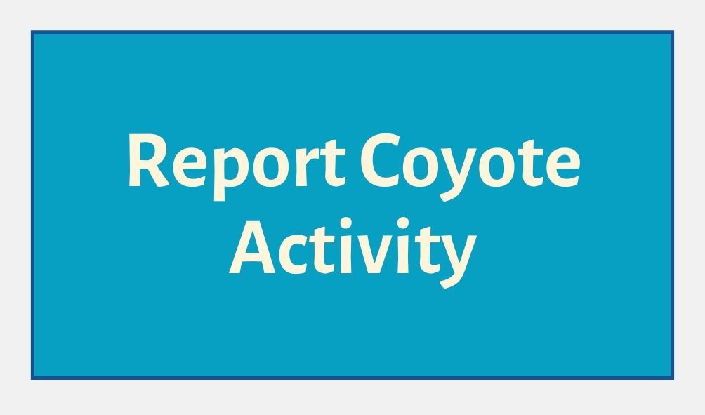 Report Coyote Activity Button Blue Background