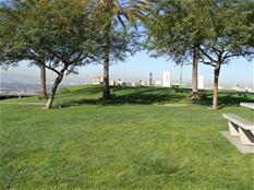 Picture 011_thumb.jpg