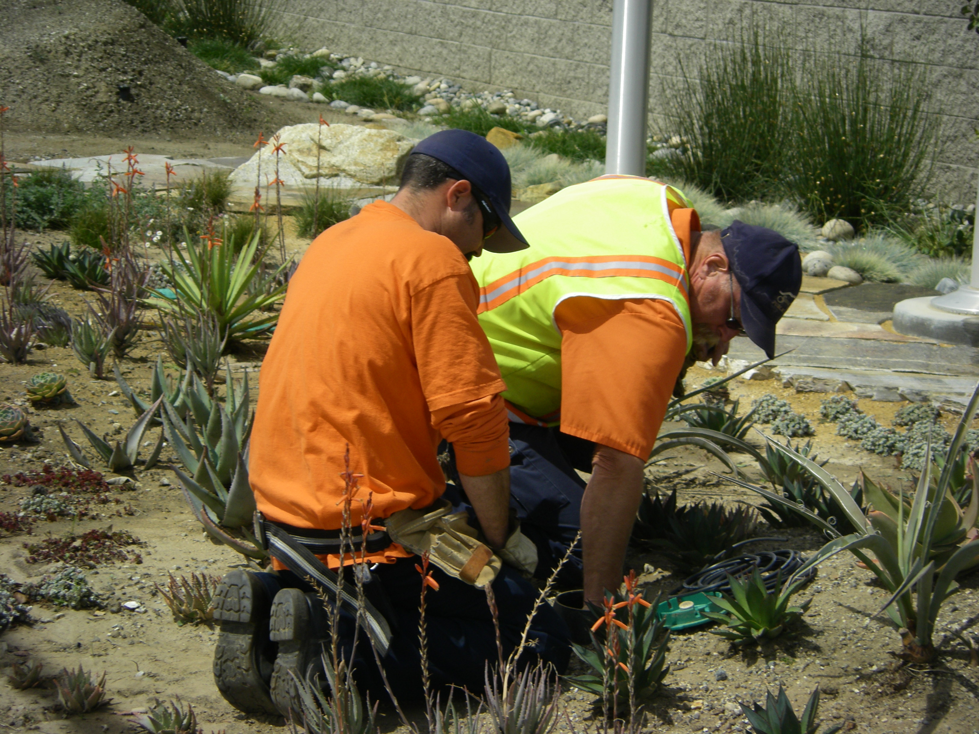 People working on landscaping